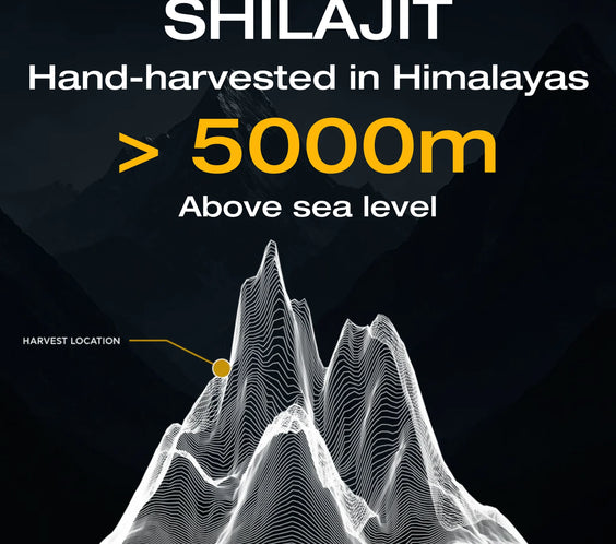 Mountaindrop Batch Tested Original Himalayan Shilajit