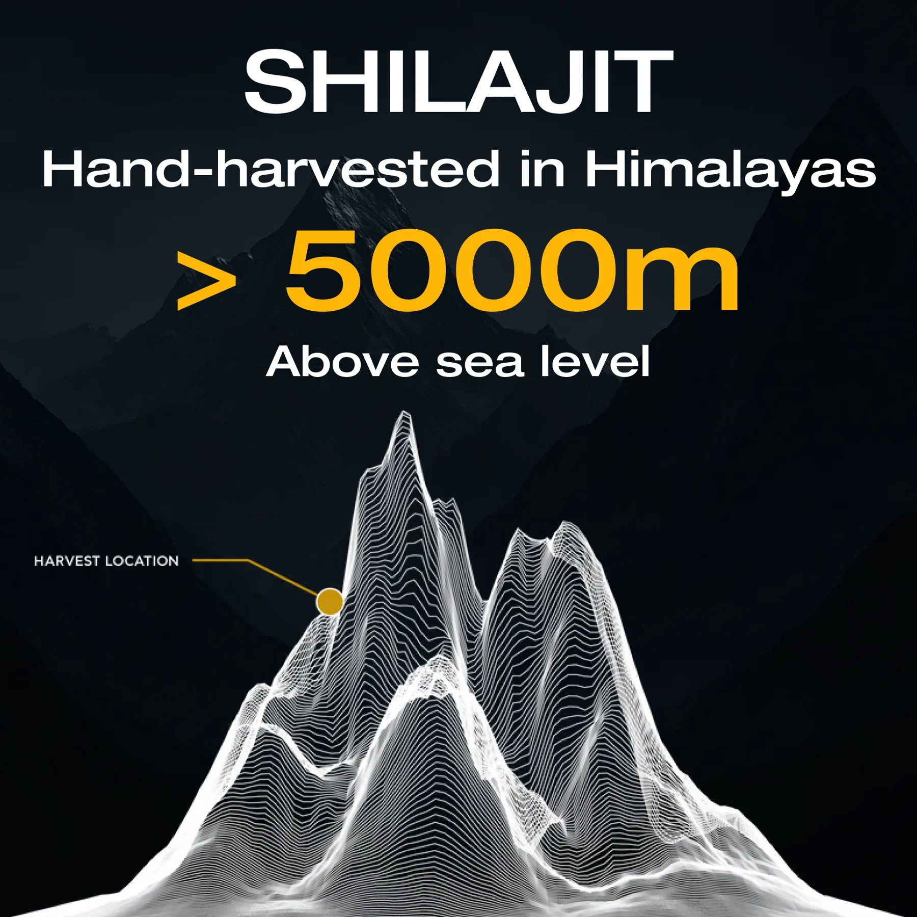 Mountaindrop Batch Tested Original Himalayan Shilajit